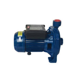 Máy bơm ly tâm Ereka CM 100 (750W) 