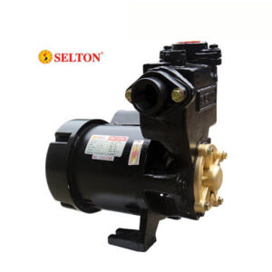 Máy bơm chân không Selton SEL-240BE
