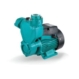 Máy bơm chân không Lepono APSm 75 (750w)